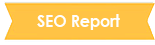 SEO-Report